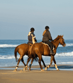 Pony Horse riding - Image 2