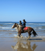 Horse riding